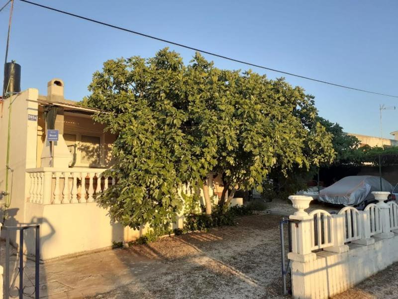 Srecko Apartman Rogoznica  Bagian luar foto